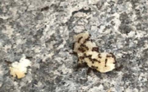 СΛρ�v�U(xi��n)ӛ�m(x��)��(xi��)���ģ�ͨ��58ƪ��