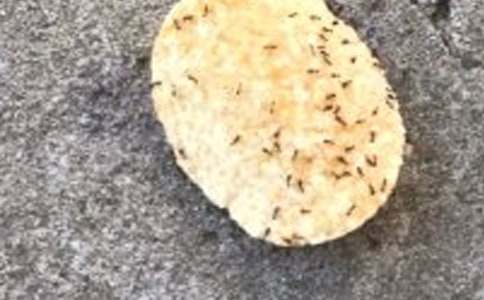 �P(gu��n)�ڌ�Λρ������Λρ�����}������600��