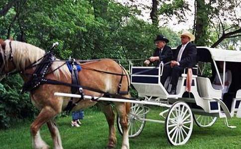 神奇的小馬車童話故事