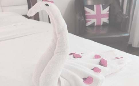 ��һ��ϴë������7ƪ