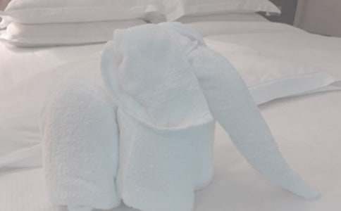 ë������������600��