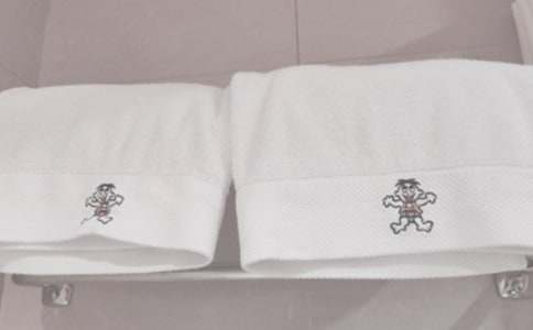 我的舊毛巾抗議了作文