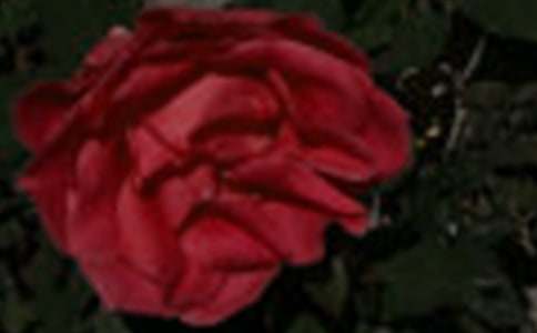 �P(gu��n)��õ�廨�����ģ����x46ƪ��