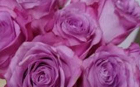 �茑õ�������1000��