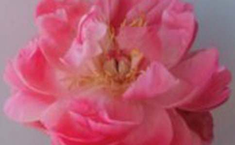 �茑õ�廨���ģ�ͨ��30ƪ��