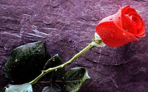 ��õ�廨������500�֣�ͨ��27ƪ��