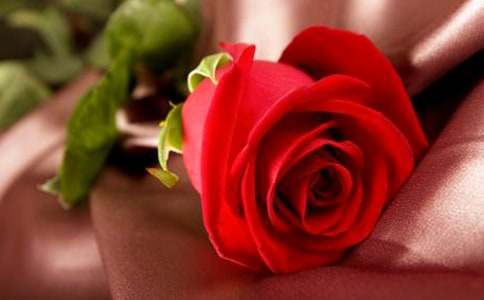 õ�廨��С�����ģ����x21ƪ��