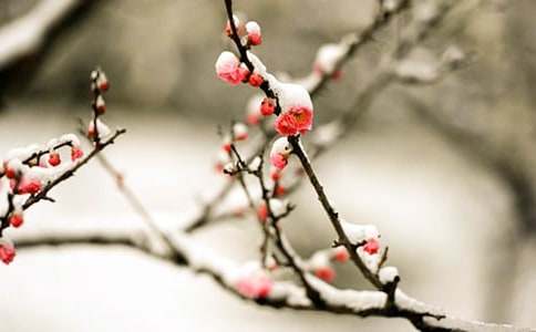 ��÷����С�W(xu��)����300�֣����x32ƪ��