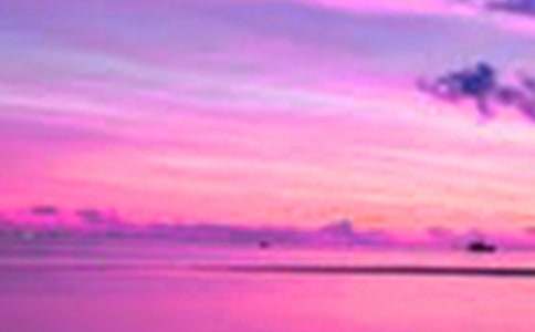 ��������С�W����