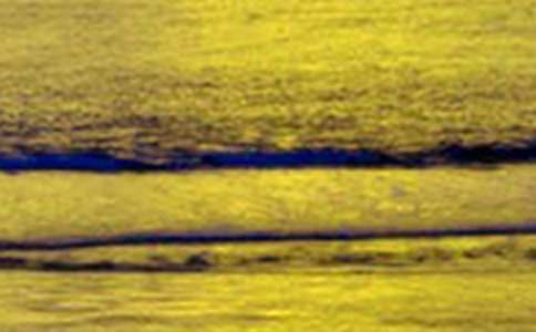 �����е�������������