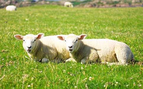 С�d���Сɽ��ͯԒ����