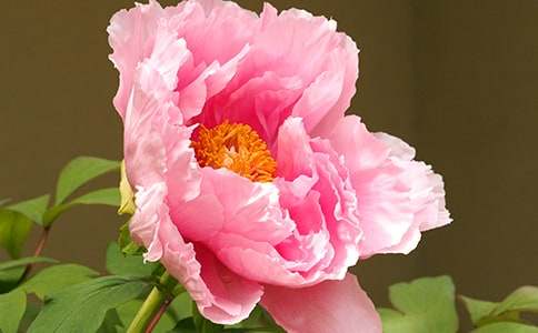 �P(gu��n)��ĵ������200������22ƪ