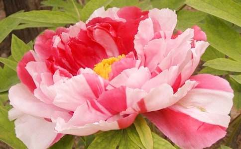 ��ĵ�������^�쌦���С�W(xu��)100������