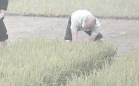 暑假干農(nóng)活作文(通用30篇)