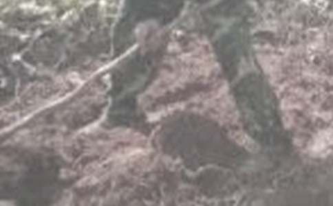 ��һ�θ��r(n��ng)�����ġ����T��