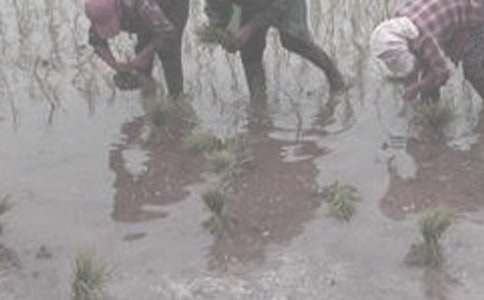 ��һ�θ��r(n��ng)�����ģ����x25ƪ��