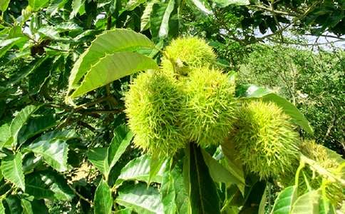 書香飄滿農(nóng)家樂小學作文