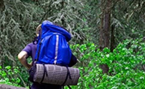 ��ɽ�Ę�(l��)Ȥ�M������