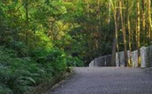 ��ɽ����5ƪ