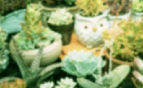 ��������400����ƪ