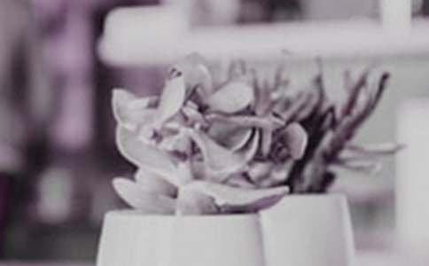 盆栽作文400字六篇