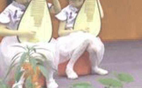 琵琶作文400字五篇