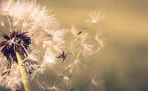 ����һ�w�ѹ�Ӣ����