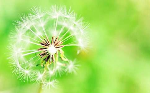 �ѹ�Ӣ�ĉ�(m��ng)�����ľ��x15ƪ