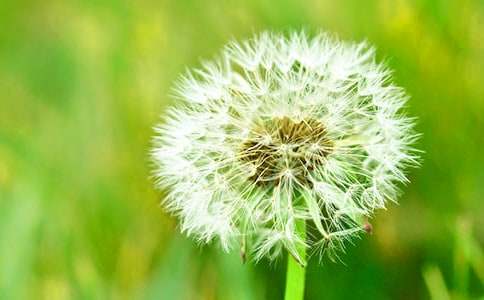 �﹡�ϵ��ѹ�Ӣ����600��