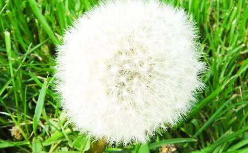 �ЌW��(y��u)�����ģ��ѹ�Ӣ