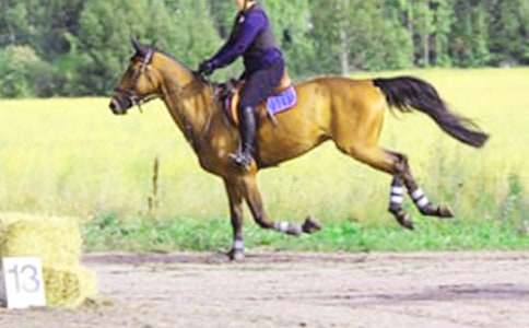 ��ԭ�T�RӛС�W(xu��)����