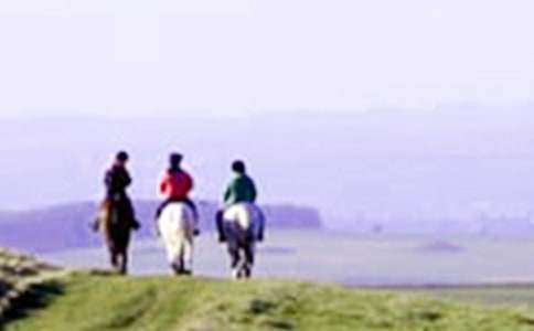 ��һ���T�R�ĵ�������