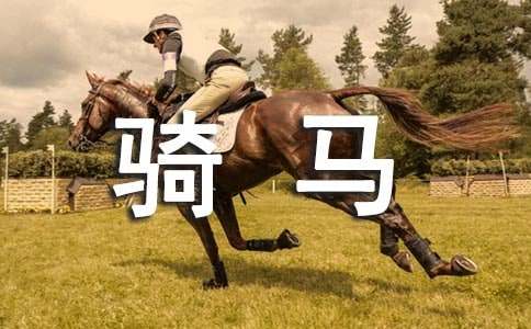 �y�����T�R֮������