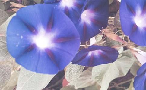 ��(xi��)������������800��