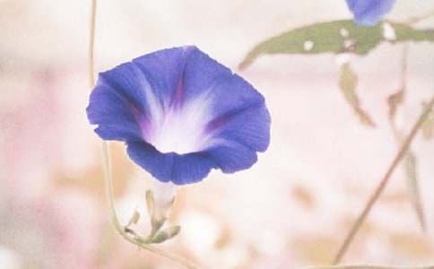 �^�젿��������(15ƪ)