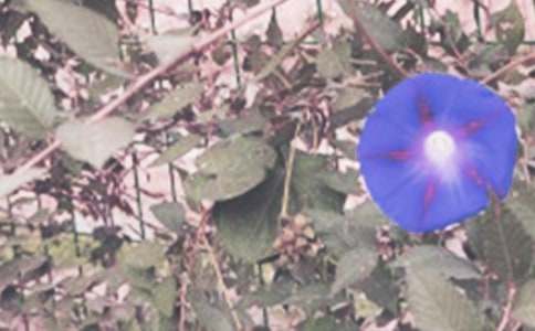 �辰����ɢ�ģ�����Ġ�����