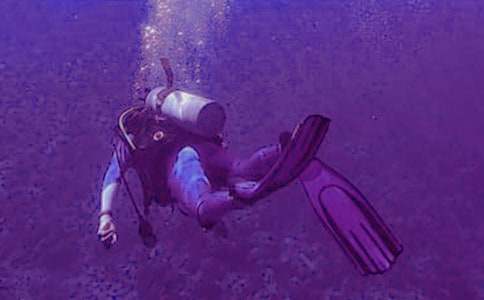 ��һ�Ν�ˮ����5ƪ