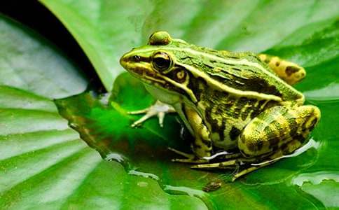 ���o(h��)���ܵ�С�W(xu��)���ģ�ͨ��26ƪ��