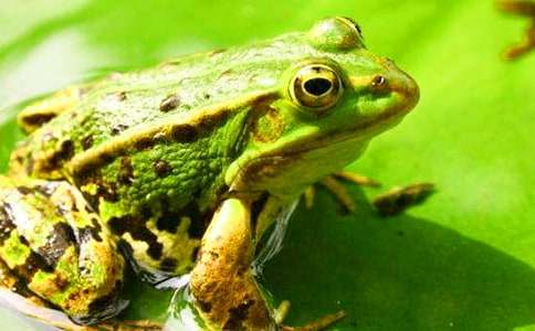 õ�廨����������