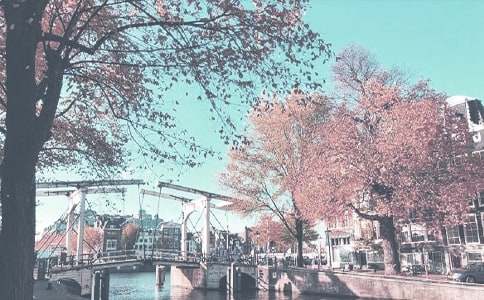 大班秋季學(xué)期教學(xué)計(jì)劃(精選13篇)