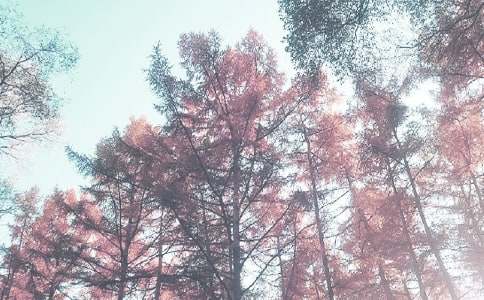 С���＾�̌W(xu��)Ӌ(j��)�������x13ƪ��