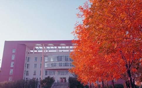 ��������2000��