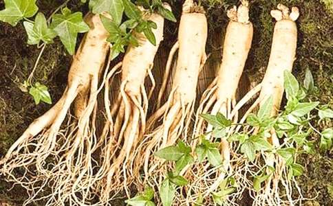 ���᡿�Ұl(f��)�F(xi��n)���˅�����