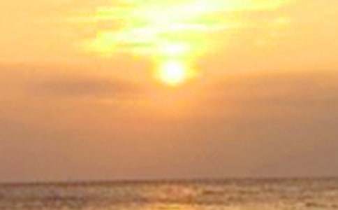 С�W(xu��)����������