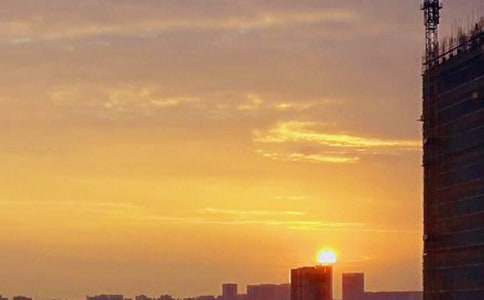 �茑�ճ����������