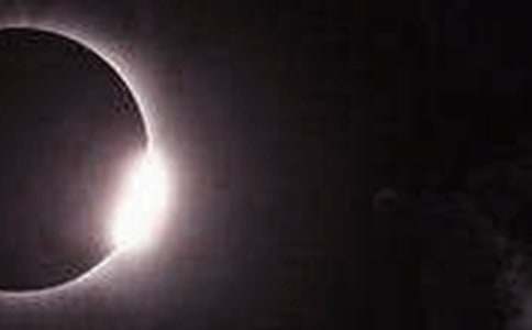 ���г�������800�֣���ʳ�^���(b��o)��