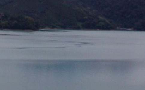 �P(gu��n)���_������̶��С�W(xu��)����