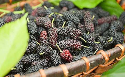 �ϼҵ�ɣ�ؘ��һ��(y��u)������