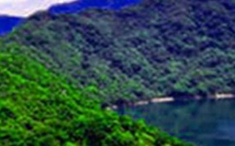 ɽˮ��(j��)�ϸ�������