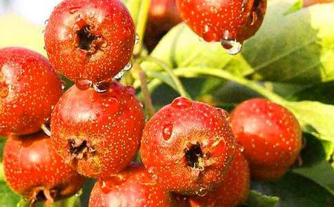 �茑(xi��)ɽ高�(sh��)������200�֣����x28ƪ��